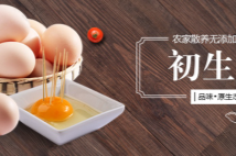 德州和膳生態(tài)農(nóng)業(yè)有限公司堅(jiān)持"誠(chéng)實(shí)守信"的原則為廣大客戶(hù)提供優(yōu)質(zhì)的服務(wù)